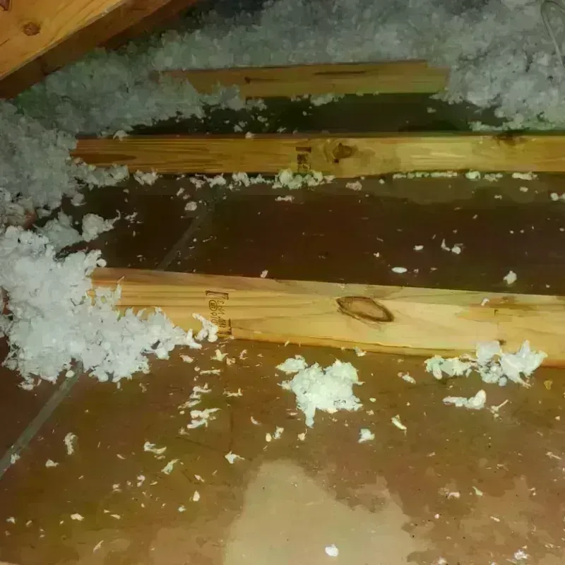 Attic Water Damage in Lewisburg, OH