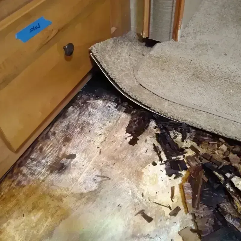 Best Wood Floor Water Damage Service in Lewisburg, OH